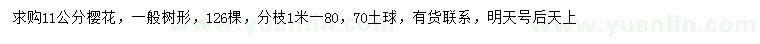 求購11公分櫻花