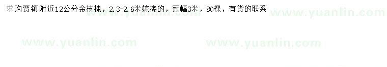求購12公分金枝槐