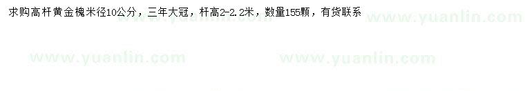 求購米徑10公分高桿黃金槐