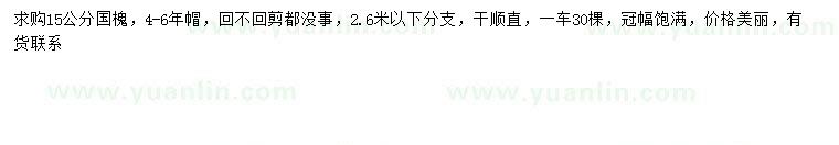 求購(gòu)15公分國(guó)槐