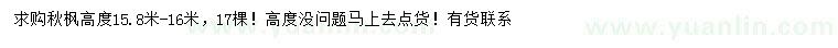 求購高15.8-16公分秋楓
