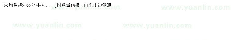 求購胸徑20公分樸樹