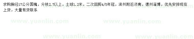 求購胸徑17公分國槐