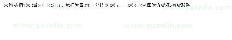 求購1.2米量20-22公分法桐
