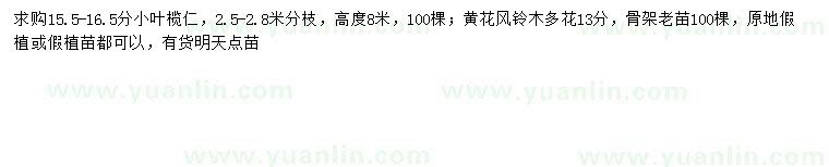求購15.5-16.5公分小葉欖仁、13公分多花黃花風鈴木