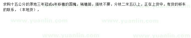 求購15公分國槐
