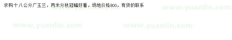 求購18公分廣玉蘭