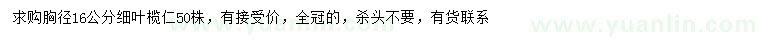 求購(gòu)胸徑16公分細(xì)葉欖仁
