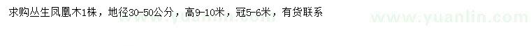 求購(gòu)冠幅5-6米叢生鳳凰木