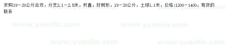 求購19-20公分合歡