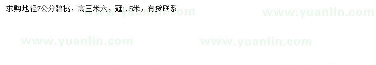 求購地徑7公分碧桃