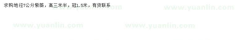 求購地徑7公分紫薇
