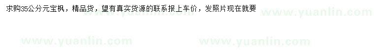 求購35公分元寶楓