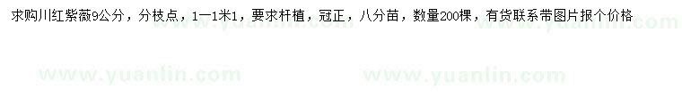 求購9公分川紅紫薇