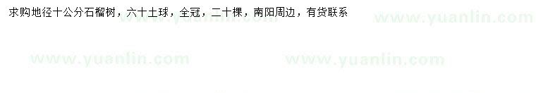 求購地徑10公分石榴