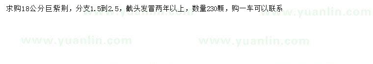 求購18公分巨紫荊