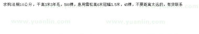 求購10公分法桐、高6米雪松