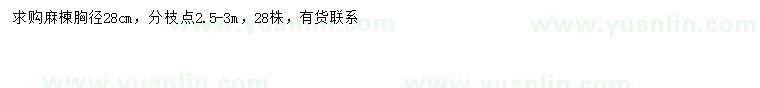 求購胸徑28公分麻楝