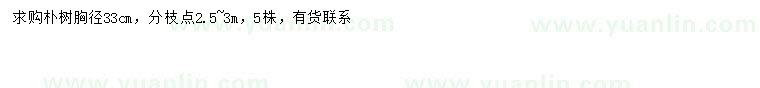 求購(gòu)胸徑33公分樸樹