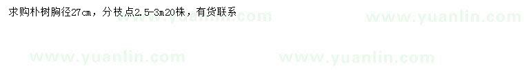 求購胸徑27公分樸樹
