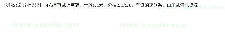 求購24公分杜梨