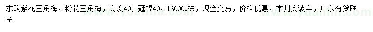 求購(gòu)高40公分紫花三角梅、粉花三角梅