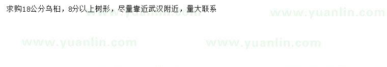 求購(gòu)18公分烏桕