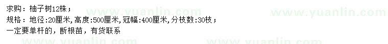 求購(gòu)地徑20公分柚子樹