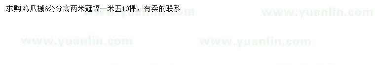 求購(gòu)6公分雞爪槭