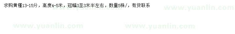 求購13-15公分黃槿