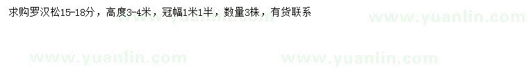 求購15-18公分羅漢松