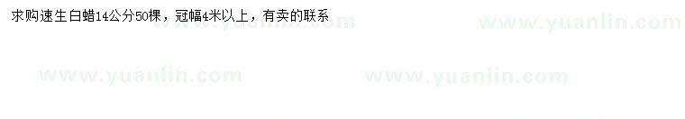 求購(gòu)14公分速生白蠟