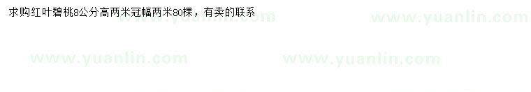 求購8公分紅葉碧桃