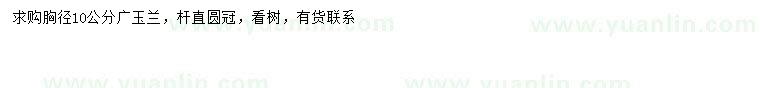求購胸徑10公分廣玉蘭