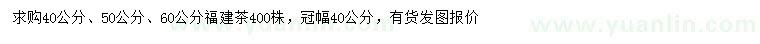 求購40、50、60公分福建茶