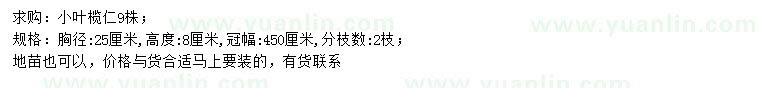 求購胸徑25公分小葉欖仁