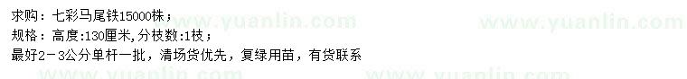 求購高130公分七彩馬尾鐵