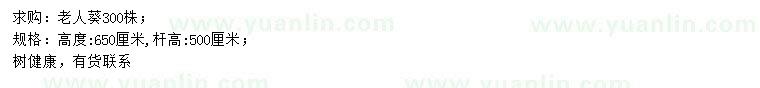 求購(gòu)高650公分老人葵