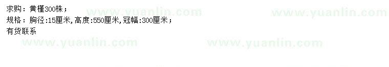 求購(gòu)胸徑15公分黃槿
