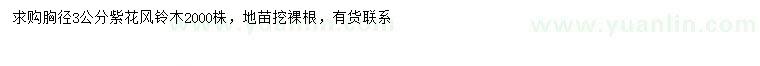 求購胸徑3公分紫花風(fēng)鈴木