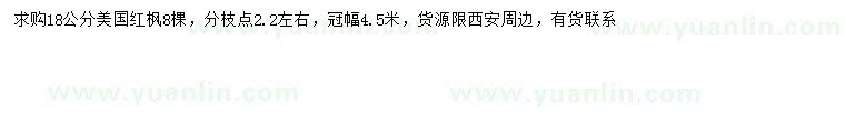 求購18公分美國紅楓