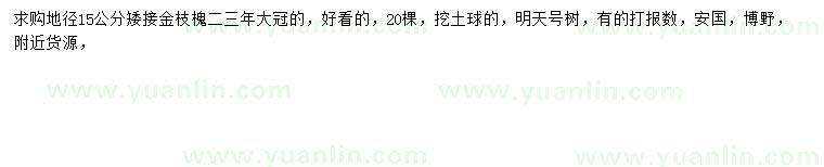 求購(gòu)地徑15公分金枝槐