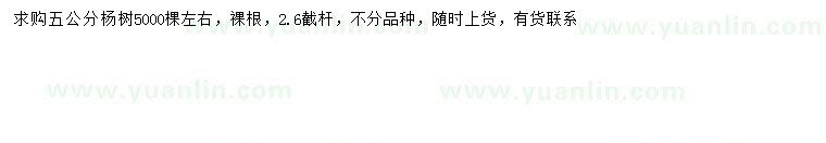 求購5公分楊樹