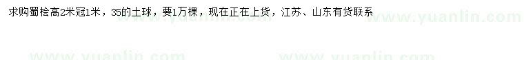 求購高2米蜀檜
