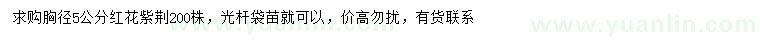 求購(gòu)胸徑5公分紅花紫荊