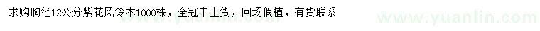 求購胸徑12公分紫花風(fēng)鈴木