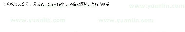 求購地徑4公分晚櫻