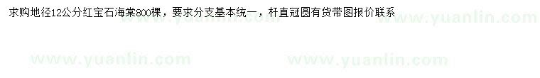 求購地徑12公分紅寶石海棠
