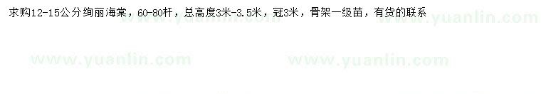 求購12-15公分絢麗海棠