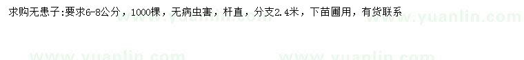 求購6-8公分無患子